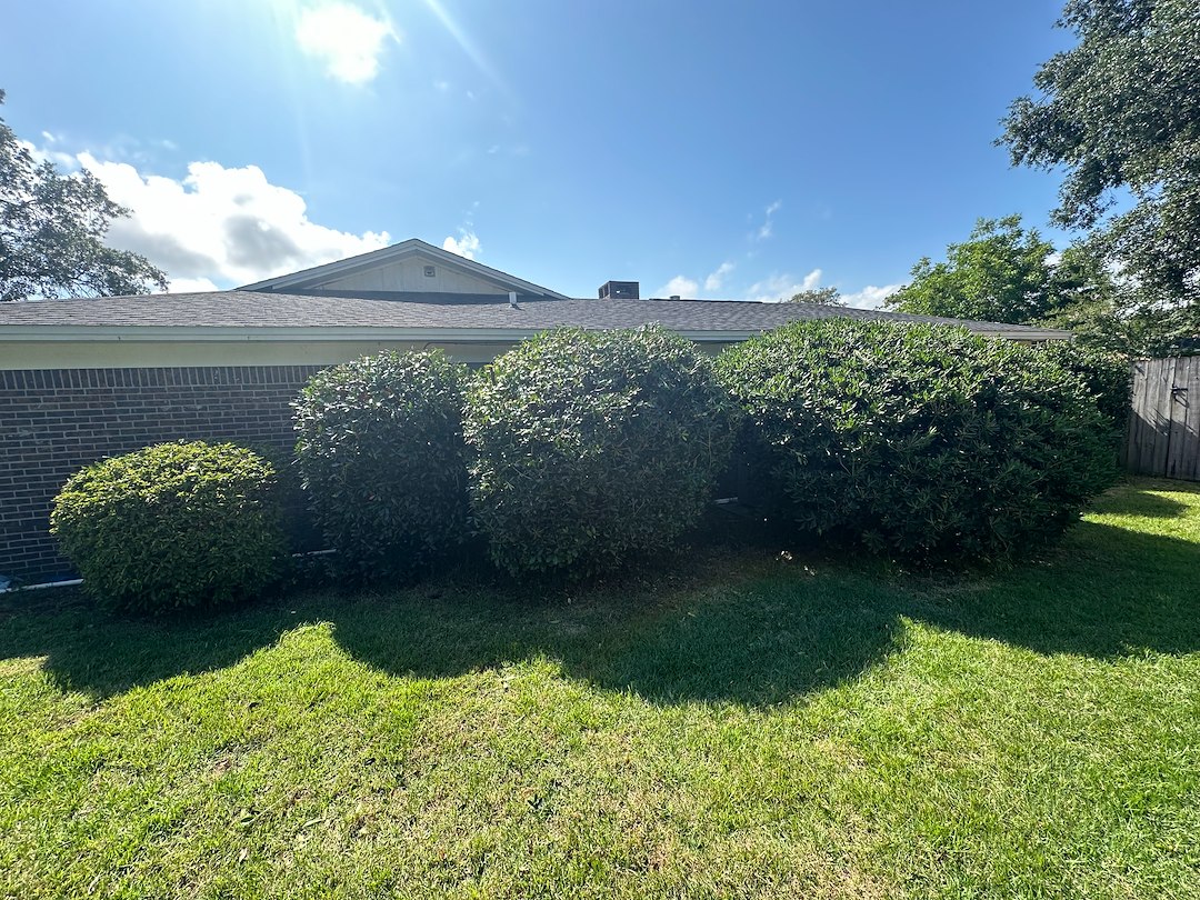 Revitalize Your Landscape with Professional Bush Trimming! - Niceville FL (1)